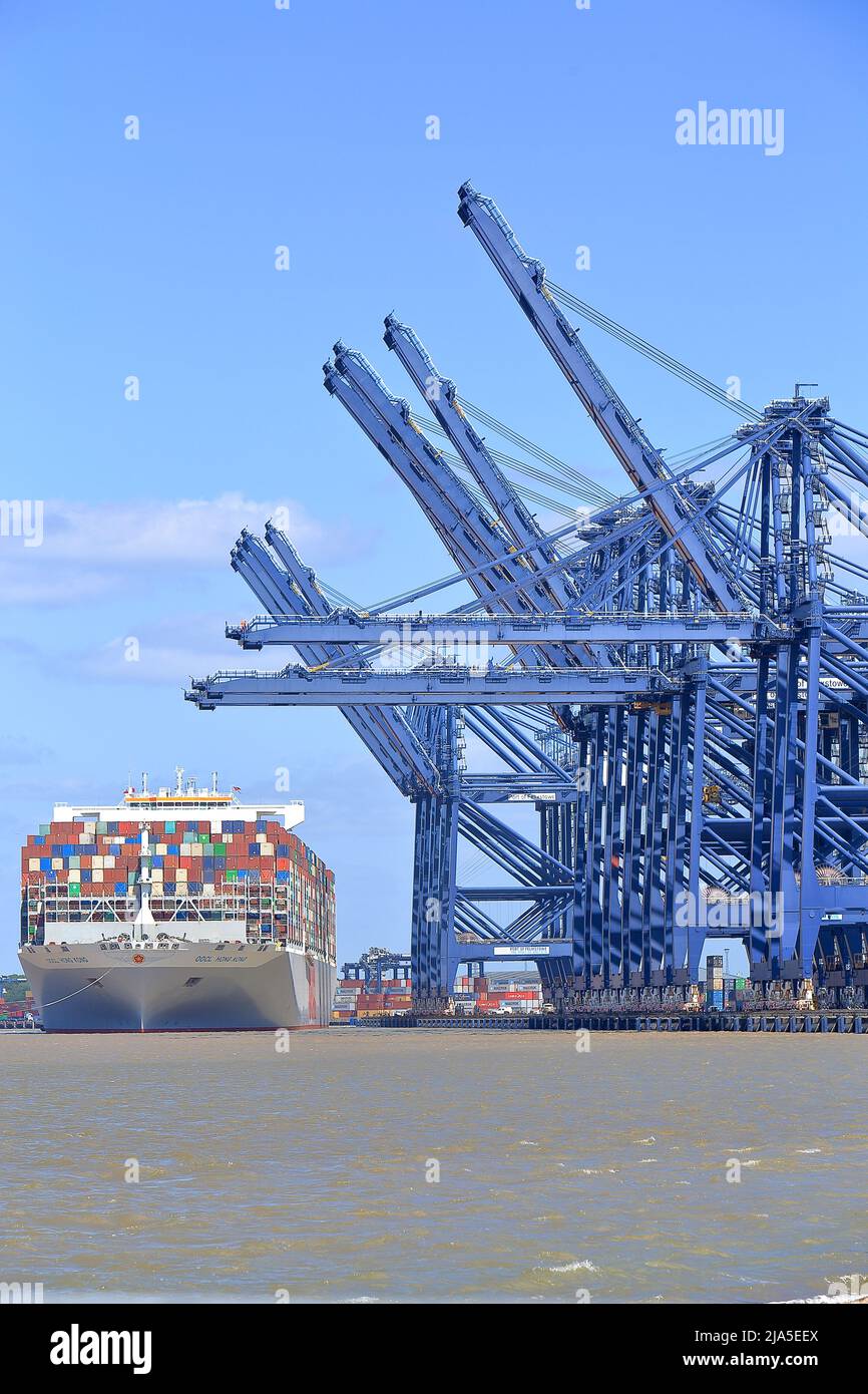 Container ship OOCL Hong Kong docking at the Port of Felixstowe