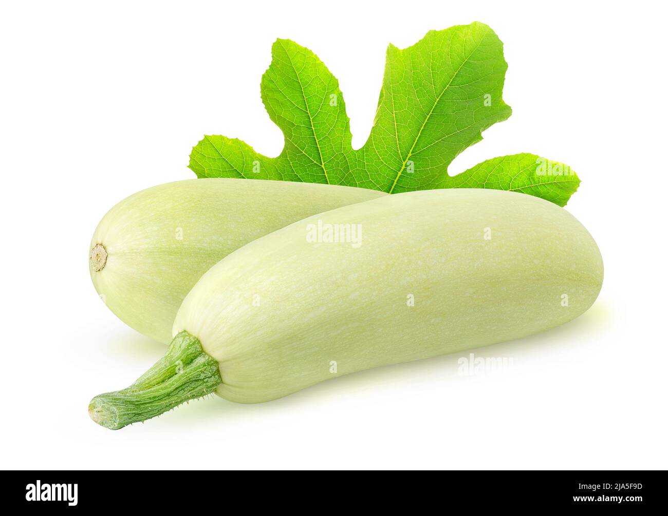 White courgettes with leaf isolated on white background Stock Photo