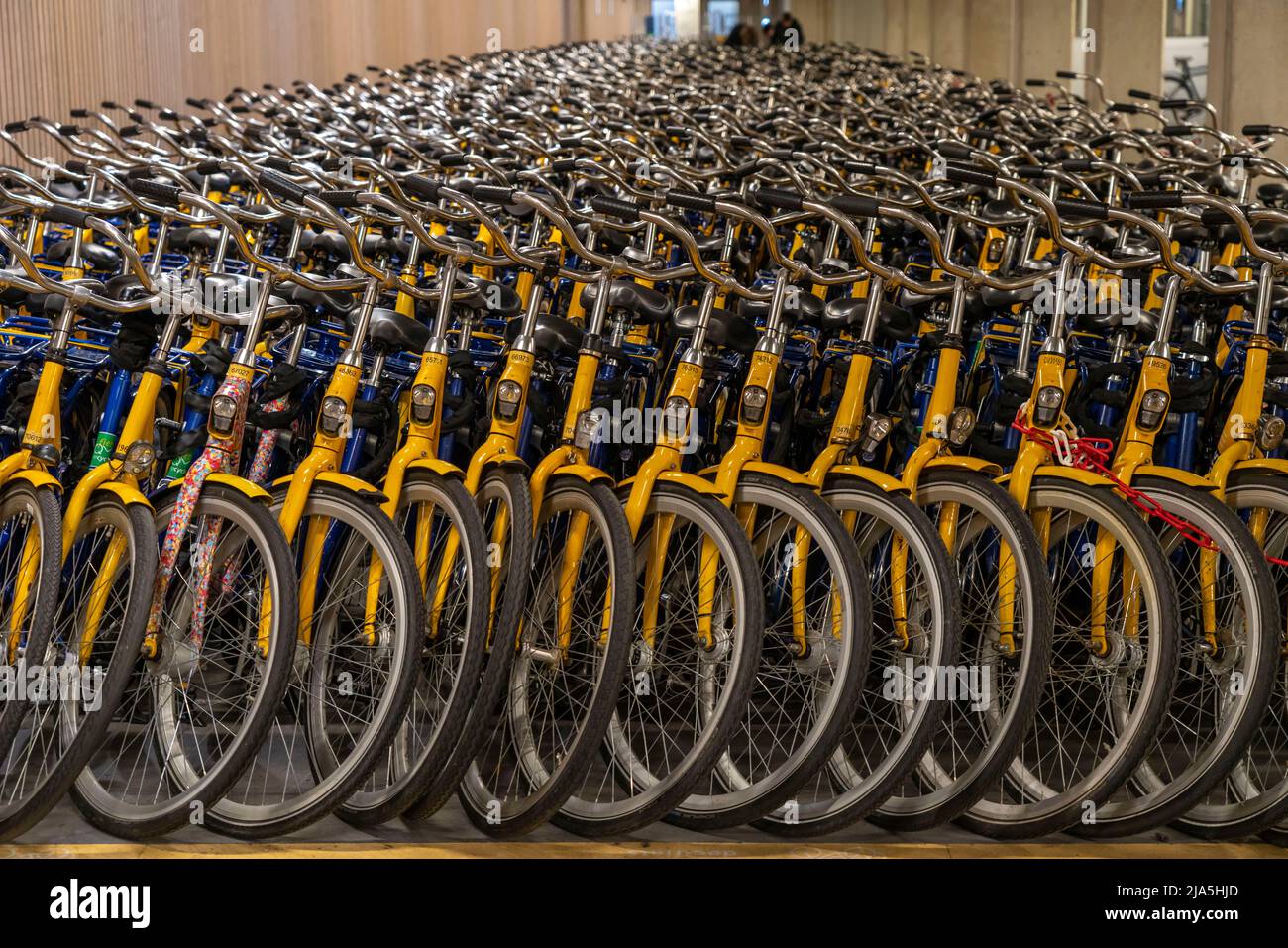 Bikes at OV-Fiets rental station, in Utrecht Central Station, hundreds of  rental bikes waiting to be used, Dutch Railways NS offer, for customers,  low Stock Photo - Alamy