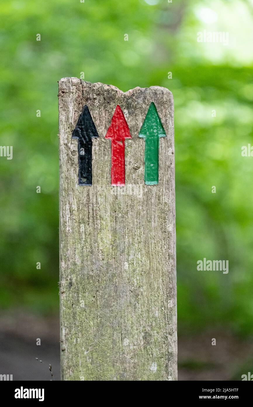 Coloured trail direction signs at Blean Woods RSPB, Kent, UK Stock Photo