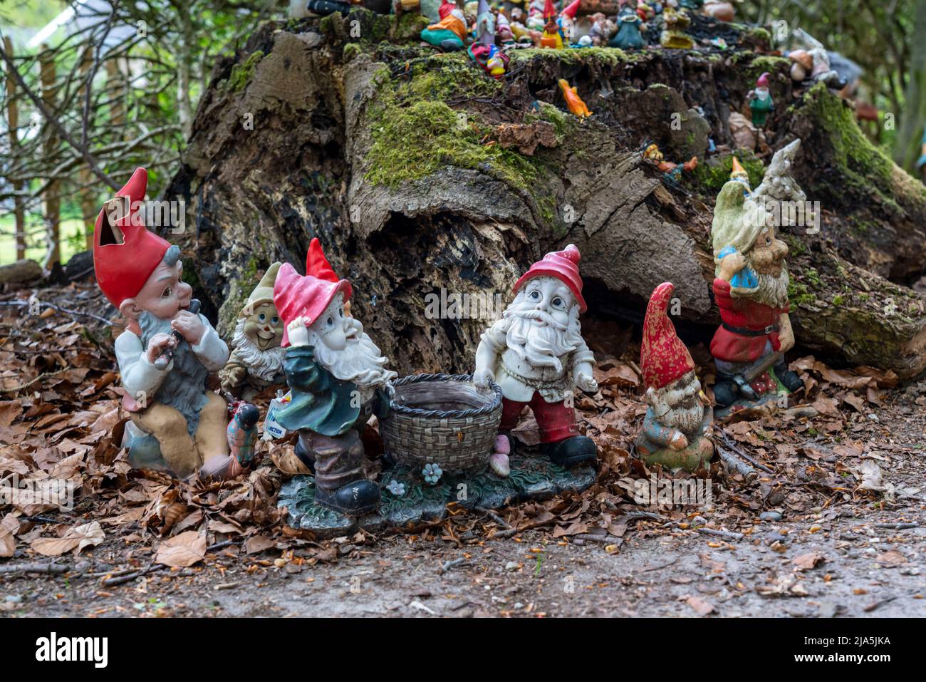 Collection of garden gnomes, in front of a private house, near Arnhem, the Netherlands, Stock Photo