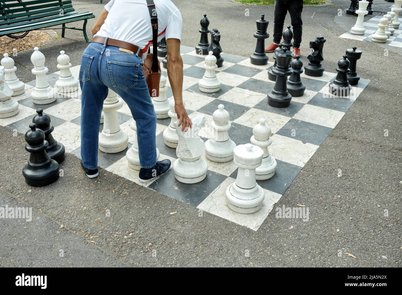 Chess In The Park  Jogue Agora Online Gratuitamente - Y8.com