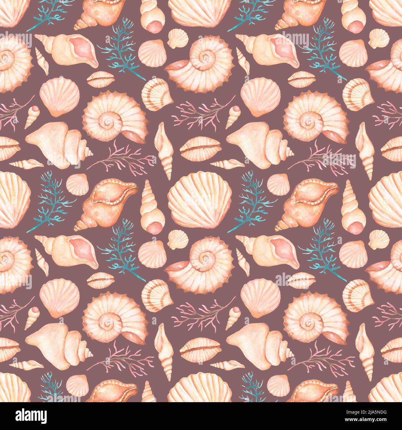 Watercolor sea shells seamless pattern, hand drawn summer ocen decor ...