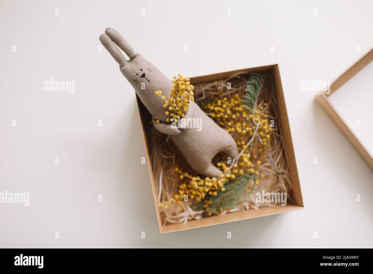 Bunny gift hi-res stock photography and images - Alamy