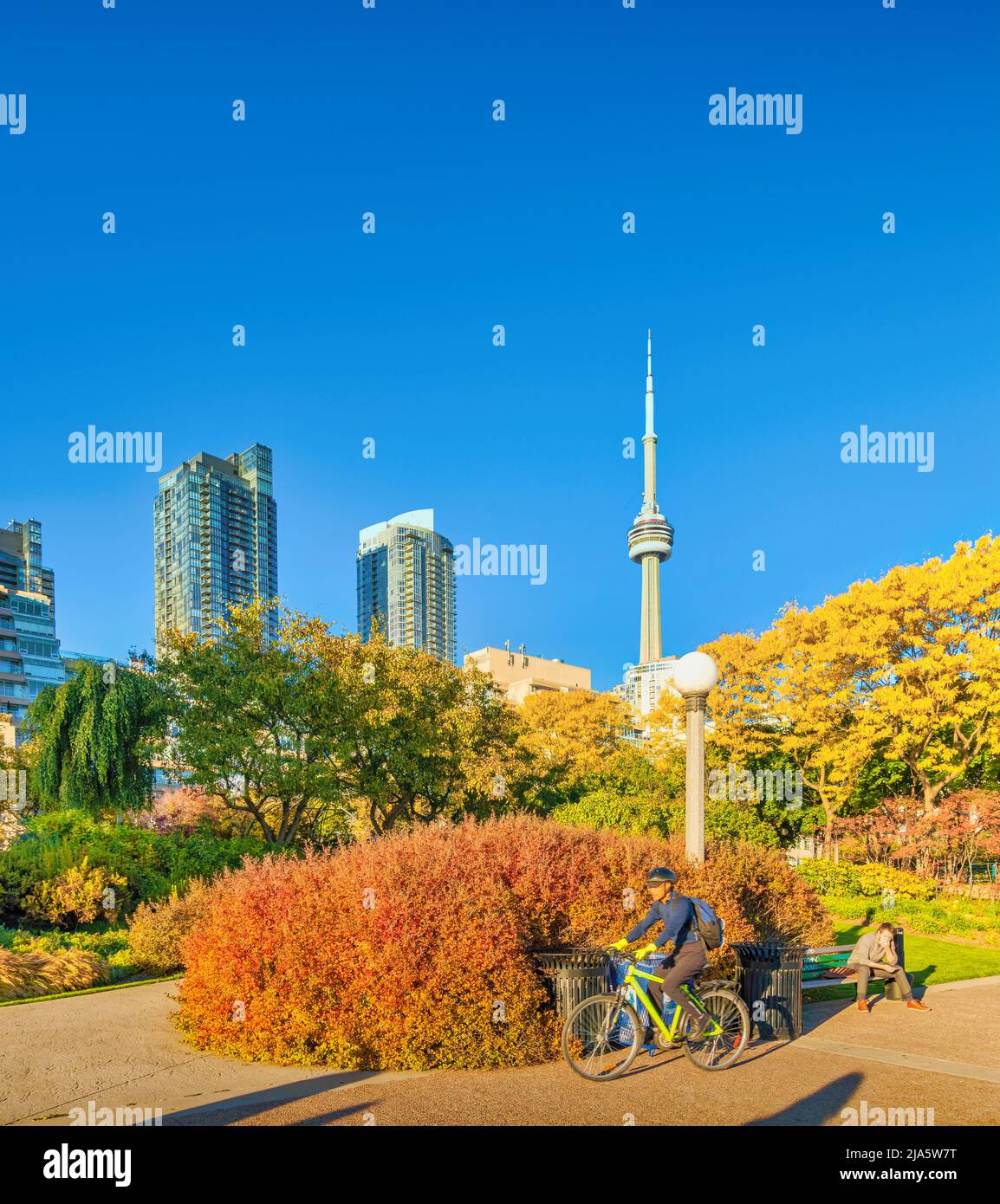 Man cycles on the Harbourfront in downtown Toronto, Ontario, Canada on an autumn day. Stock Photo