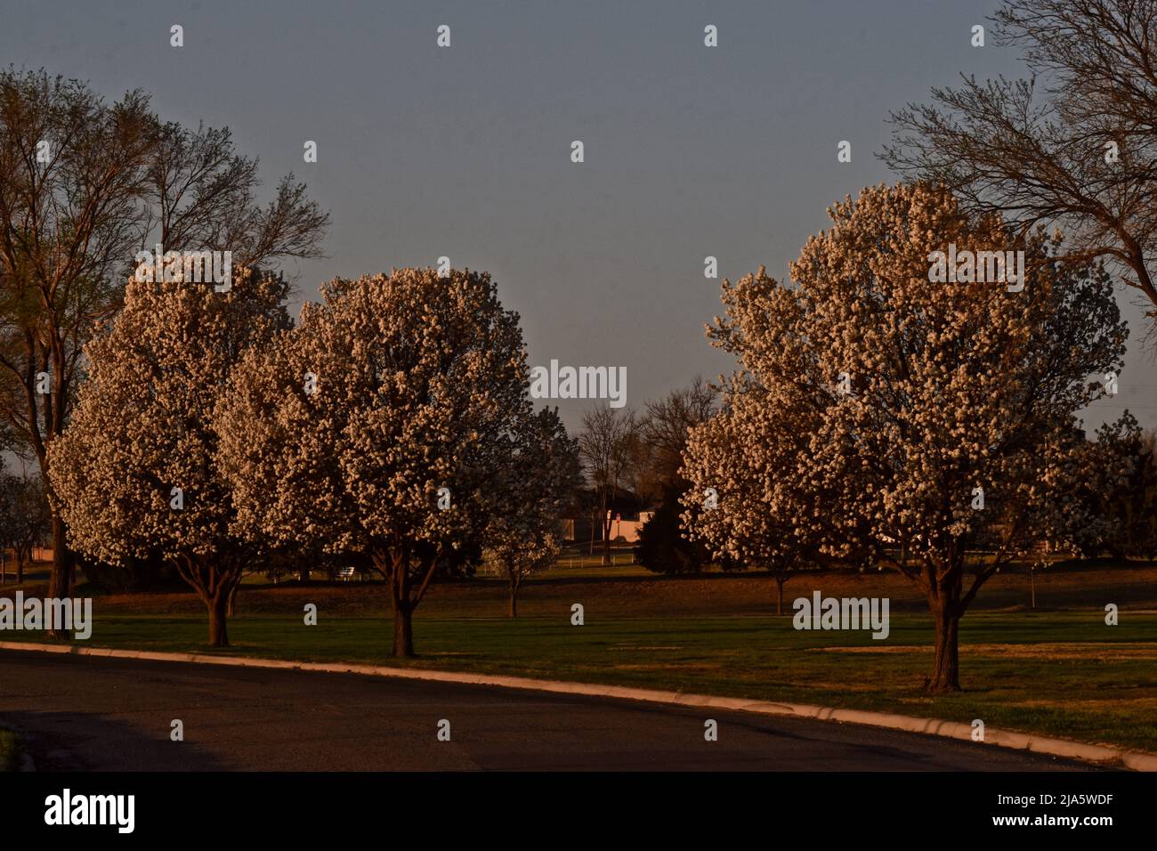 Canyon with fall colors hires stock photography and images Alamy