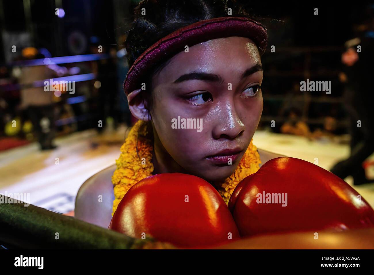 Nutthaya Namongkol, better known as Peem, prepares herself in the corner of the boxing ring before the beginning of a fight in an all-female Muay Thai tournament. Years ago seeing women in a ring fighting (Muay Thai) in Thailand was almost unheard of, unless it was in a ceremonial fight in the local temple during the festive season. Nowadays, things are changing and more women are joining the sport. The city of Chiang Mai is the epicentre of this change with the support of a local promoter that sees the sport as a way to promote equality, and the growing interest in the sport by foreigners flo Stock Photo