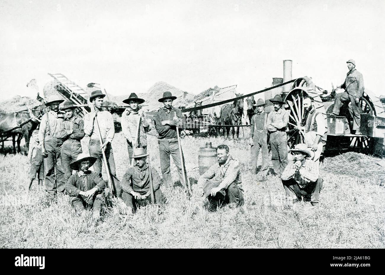 This 1903 picture of the Threshing Crew has a large machine at the right that is the engine for furnishing power to run the threshing machine. The long belt transmits the power from the engine to the separator, The huge pile of material in the background is the refuse straw and chaff that has been winnowed from the wheat and discharged through the long pipe resting upon the side of the mound. Stock Photo