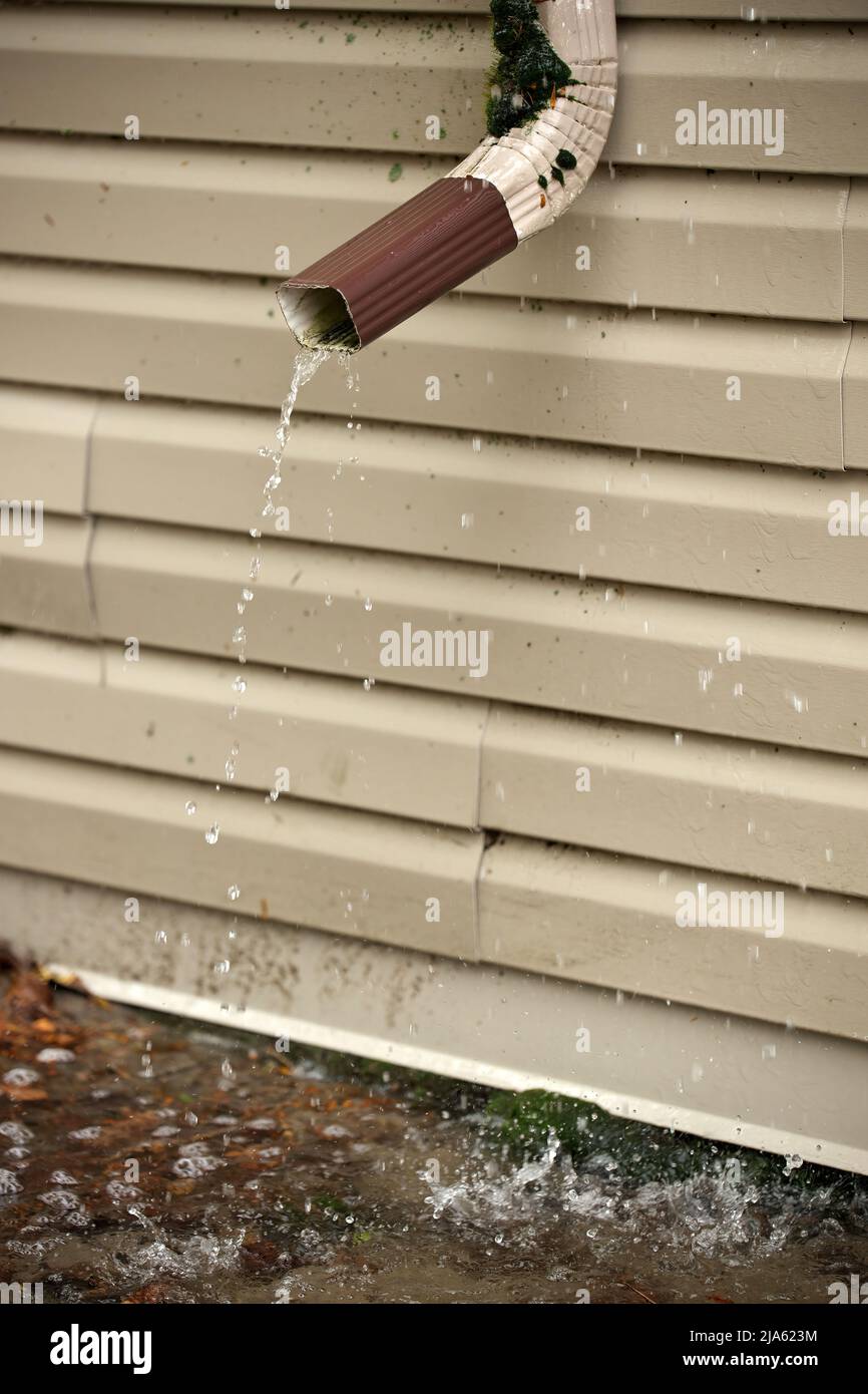 Rain Water Pours Out of a Short Downspout on side of house pooling by