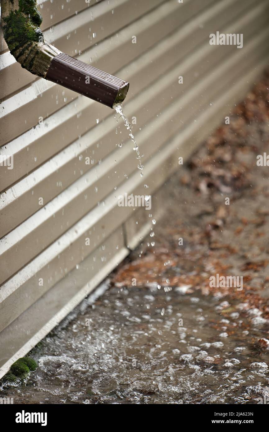 Rain Water Pours Out of a Short Downspout on side of house pooling by
