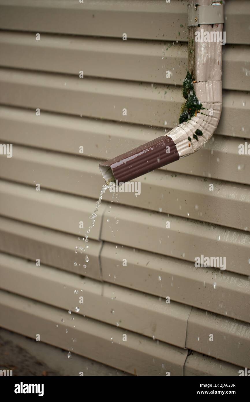Rain Water Pours Out of a Short Downspout on side of house pooling by