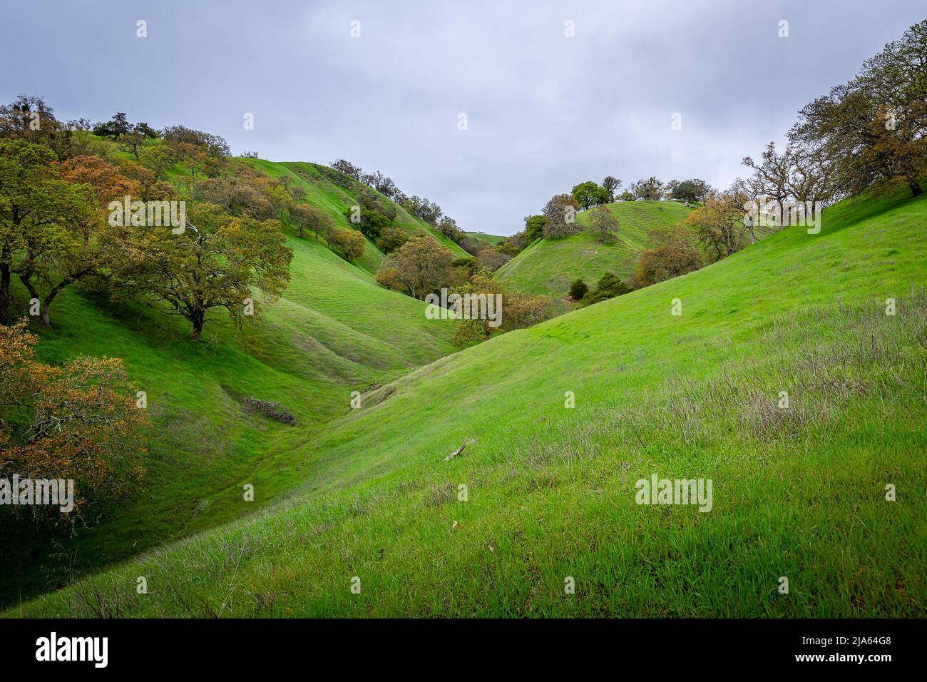 The Foothills of Mount Diablo State Park Stock Photo