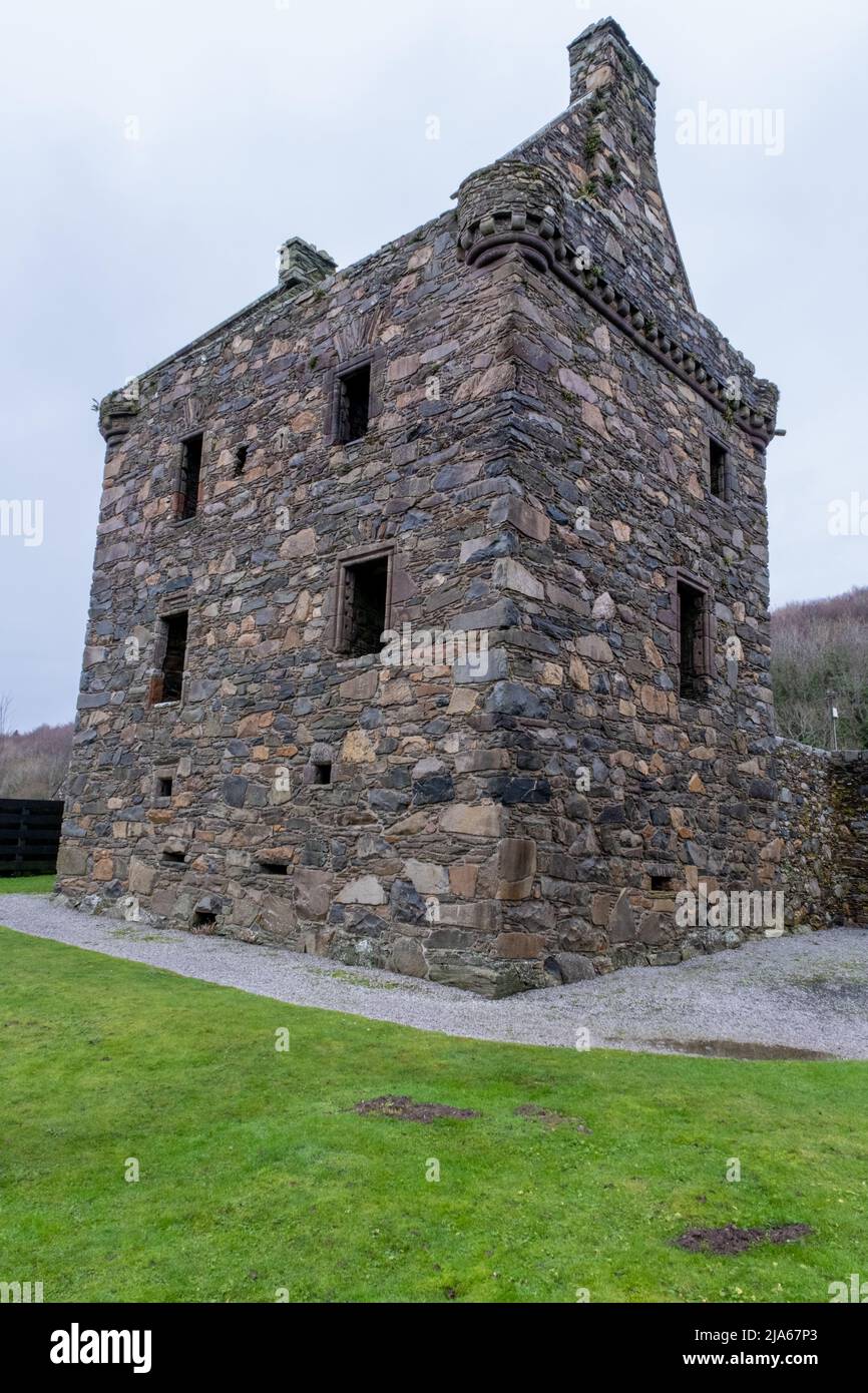 The ruins of Carsluith Castle stone tower house, Wigtown Bay, Scotland Stock Photo