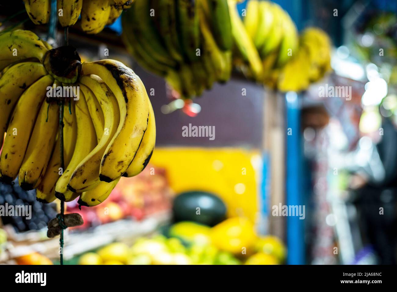Green banana are hanging in a fruit shop Stock Photo