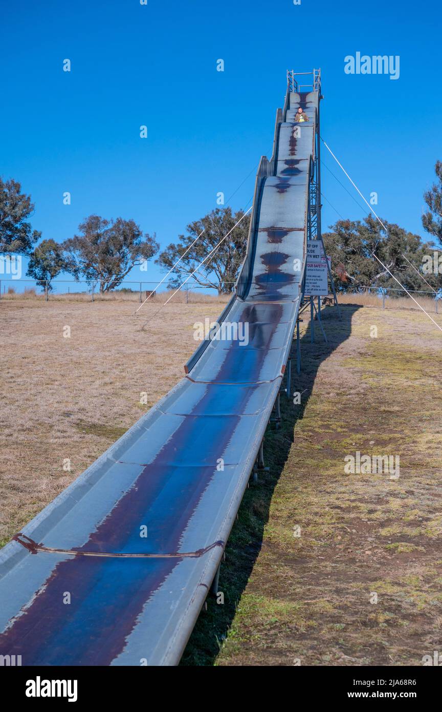 “Green Valley Farm” is a family run sheep property with a difference