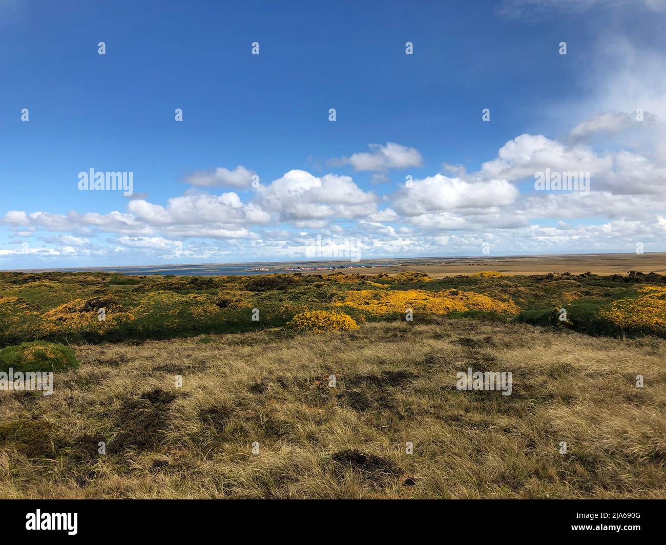 Herbert jones falklands hires stock photography and images Alamy
