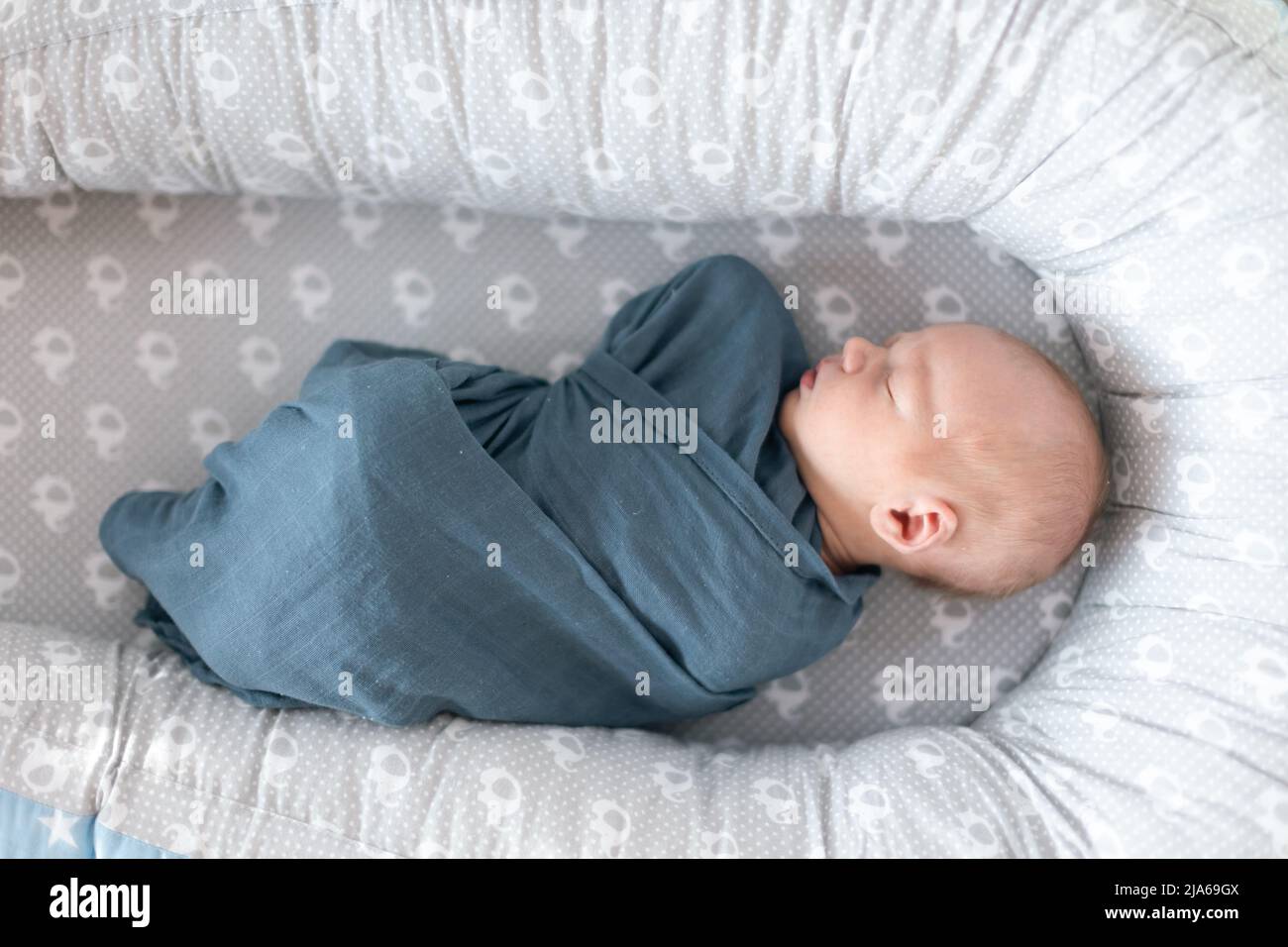 Newborn baby boy sleeping and swaddled in blue cloth lying in grey nest