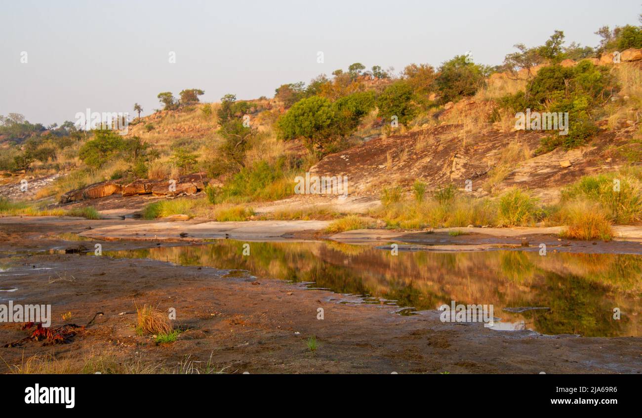 Riverbed landscape in the Kruger National Park in South Africa Stock