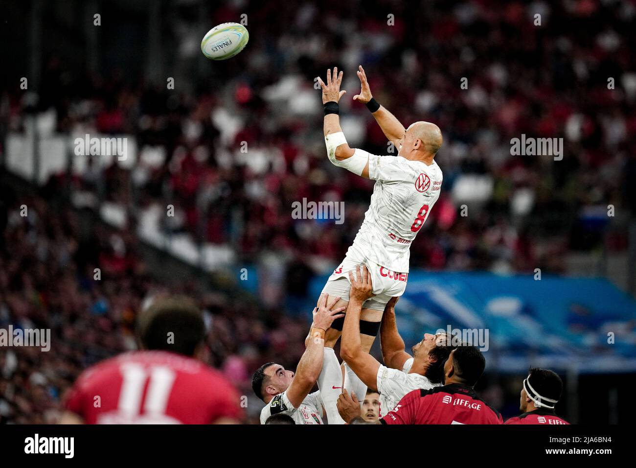 Sergio Parisse of RCT during the rugby European Challenge Cup Final