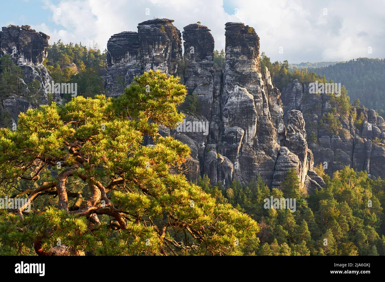 Walking in Bastei rocks, Germany Stock Photo - Alamy
