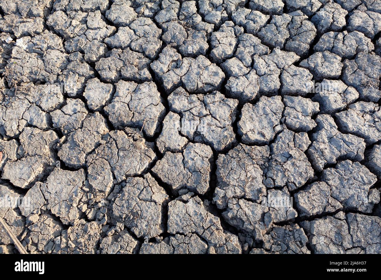 Arid land with cracks . Waterless soil surface Stock Photo Alamy