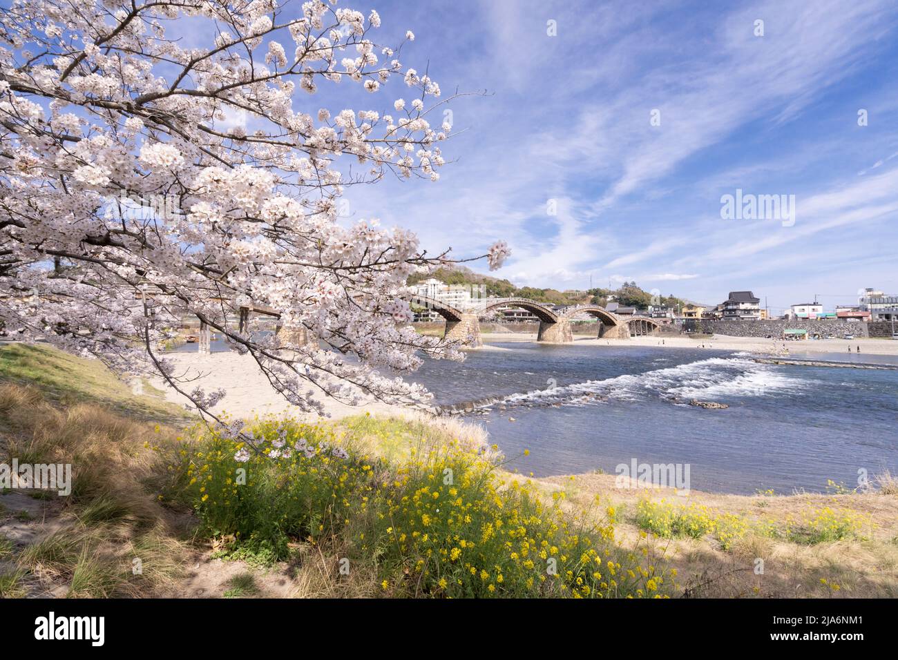 Kintaikyo Bridge and Cherry Blossom, Iwakuni, Yamaguchi Prefecture, Western Honshu, Japan Stock Photo
