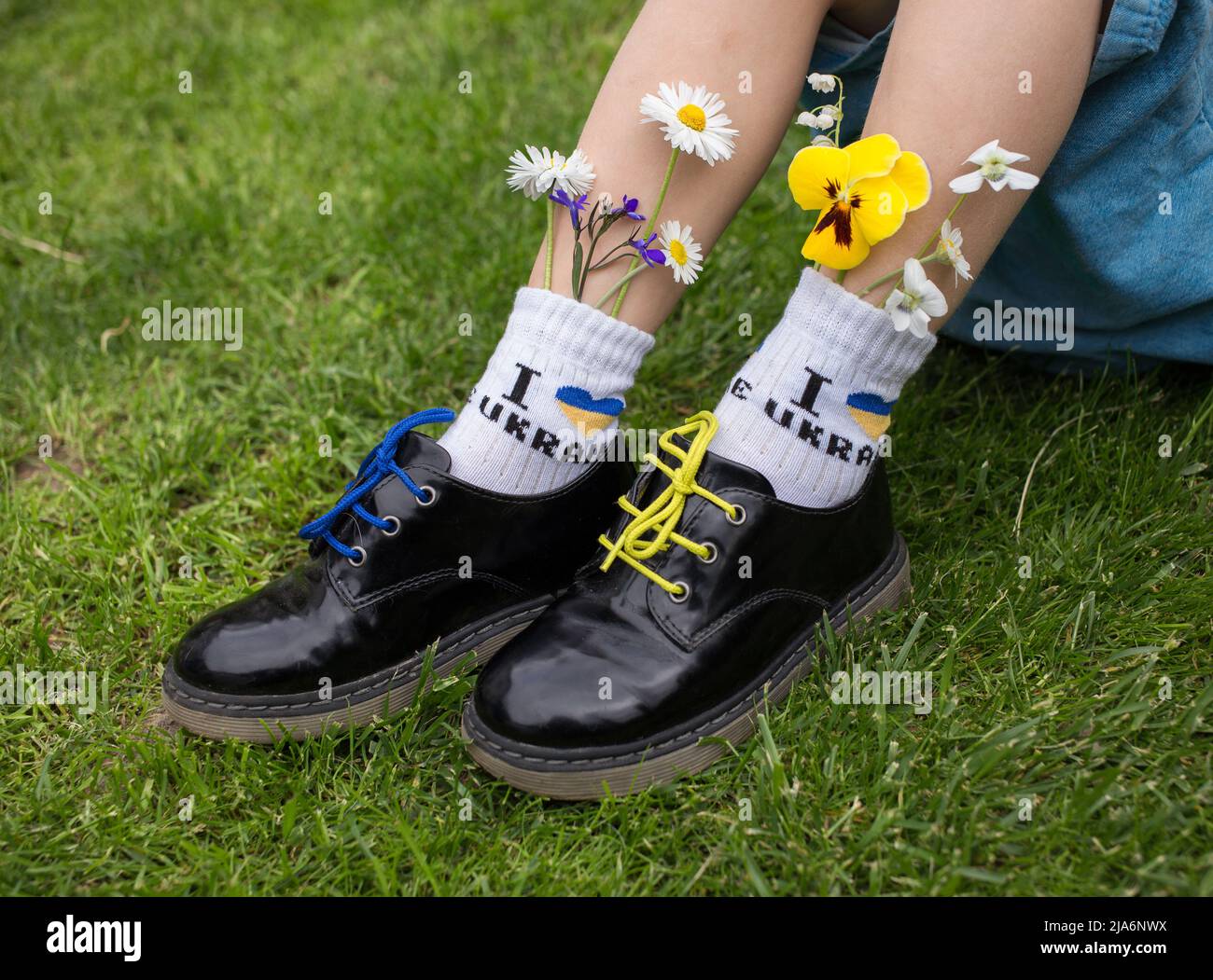 feet of boy in black patent leather shoes and socks with inscription I love Ukraine, standing on green grass. Flowers stick out of socks. childhood. p Stock Photo