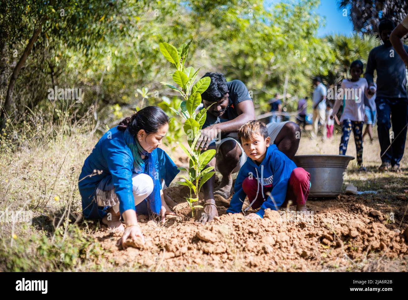 Asian people planting trees in forest area. group. Stock Photo