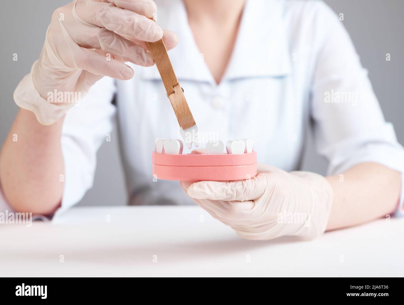 Dentist using forceps for tooth removal from jaw model. Teeth losing concept. Infection, injury consequences. Work of dental surgeon in lab coat and gloves. High quality photo Stock Photo