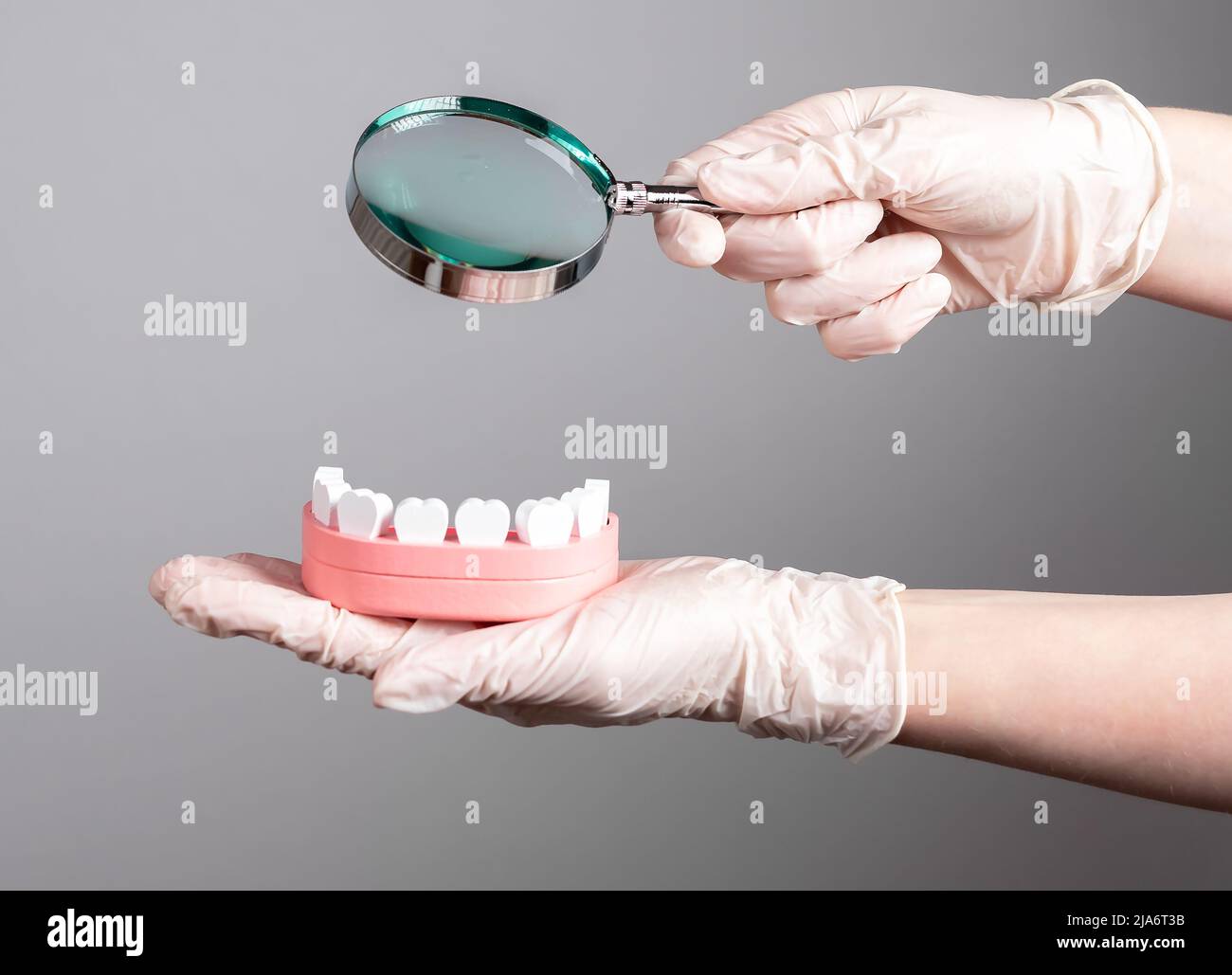 Dentist with magnifying glass over jaw model with teeth. Regular dental