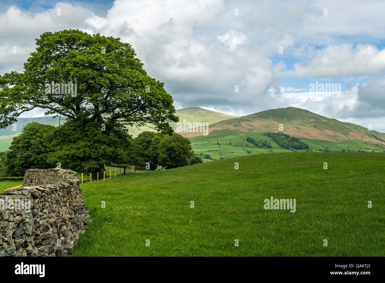 A view of Arant Haw and Winder, both fells in the Howgill Fells region - on a bright day near Sedbergh Stock Photo