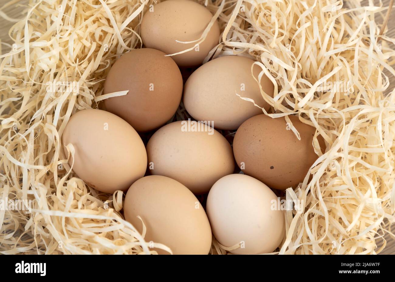 Farm chicken farm. Nest with brown chicken eggs Stock Photo - Alamy