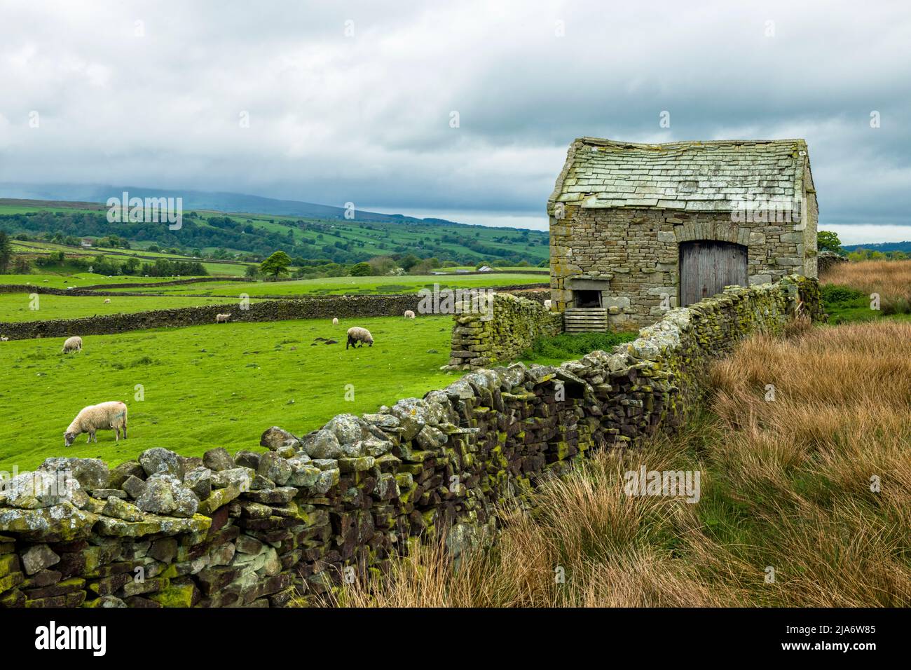 An old stone barn and drystone wall in the Forest of Bowland in Lancashire/Yorkshire Stock Photo