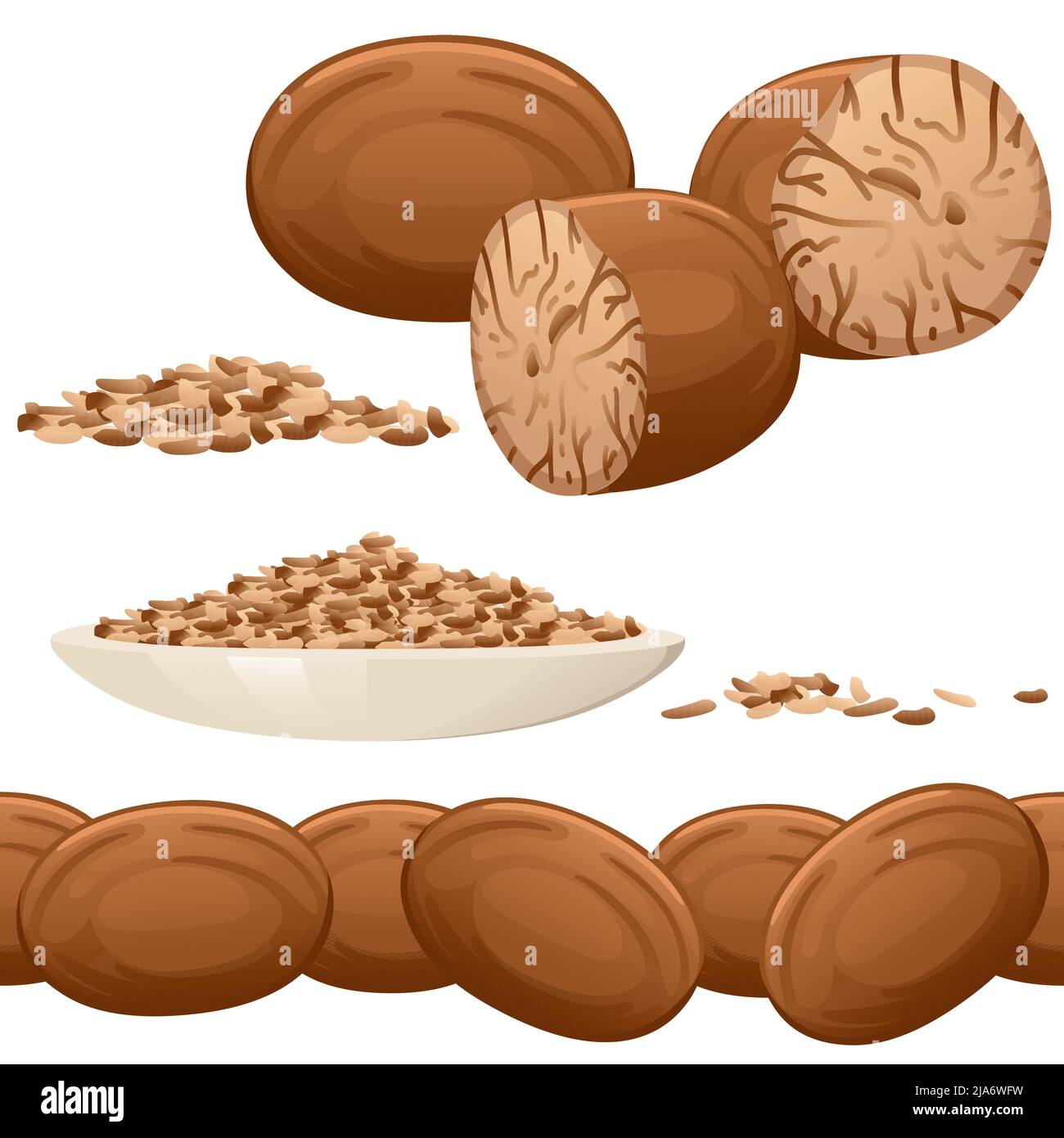 Seamless pattern of Fragrant nutmeg seasoning with whole and milled
