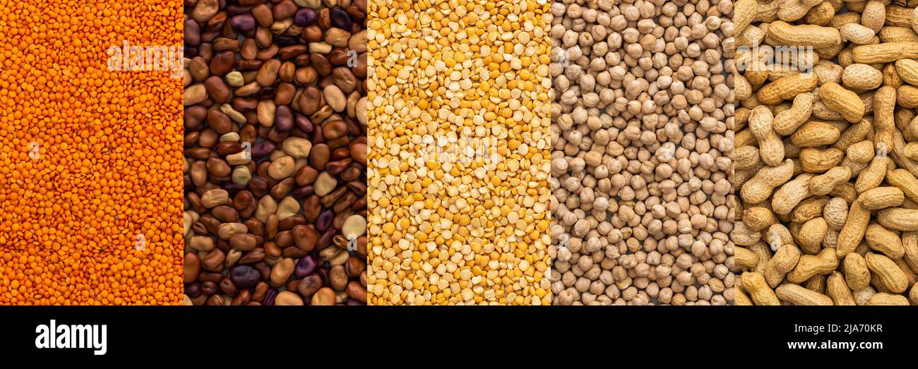 Different types of legumes banner, chickpeas and lentils, peanuts and