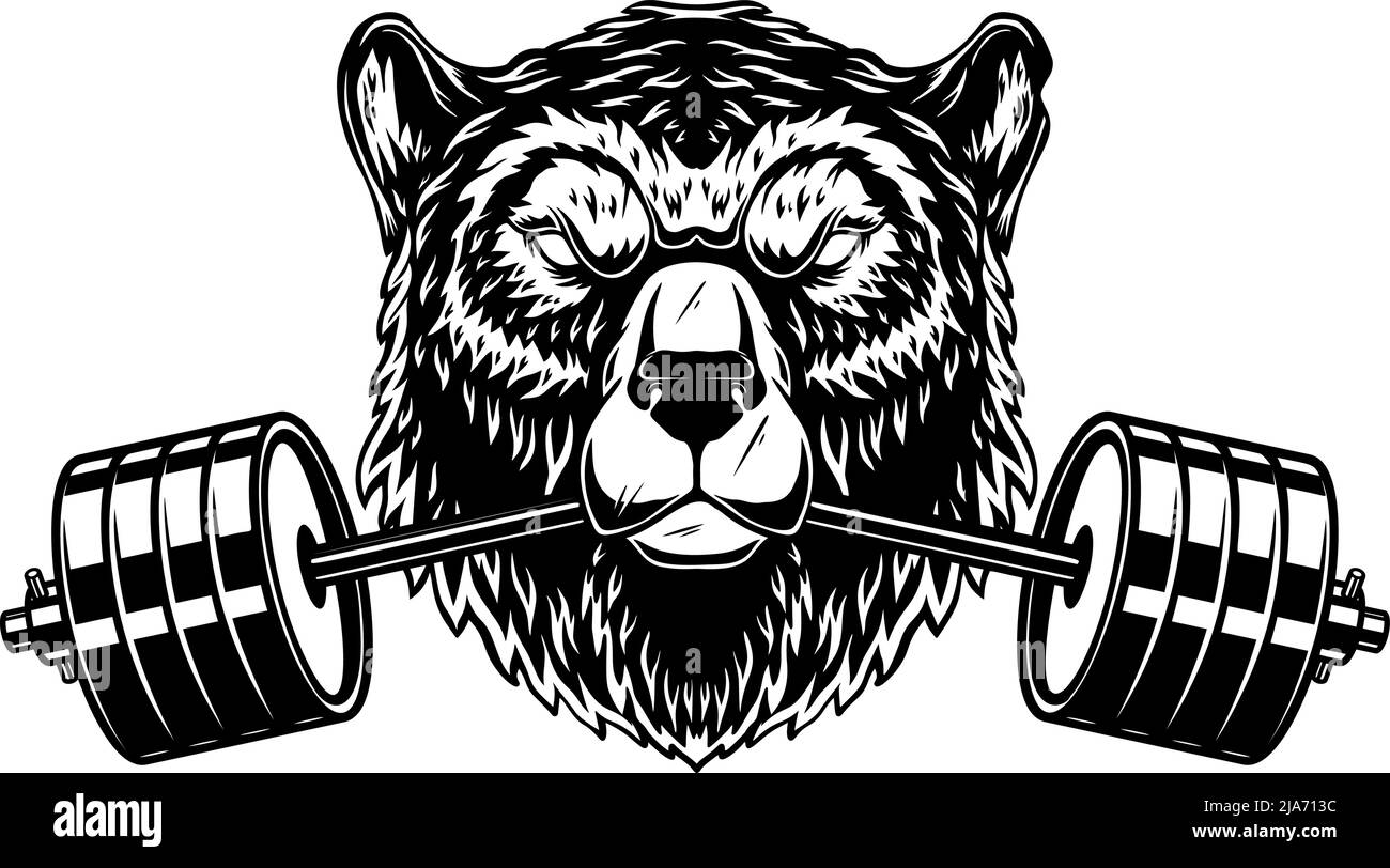Grizzly bear with gym barbell in mouth. Design element for logo
