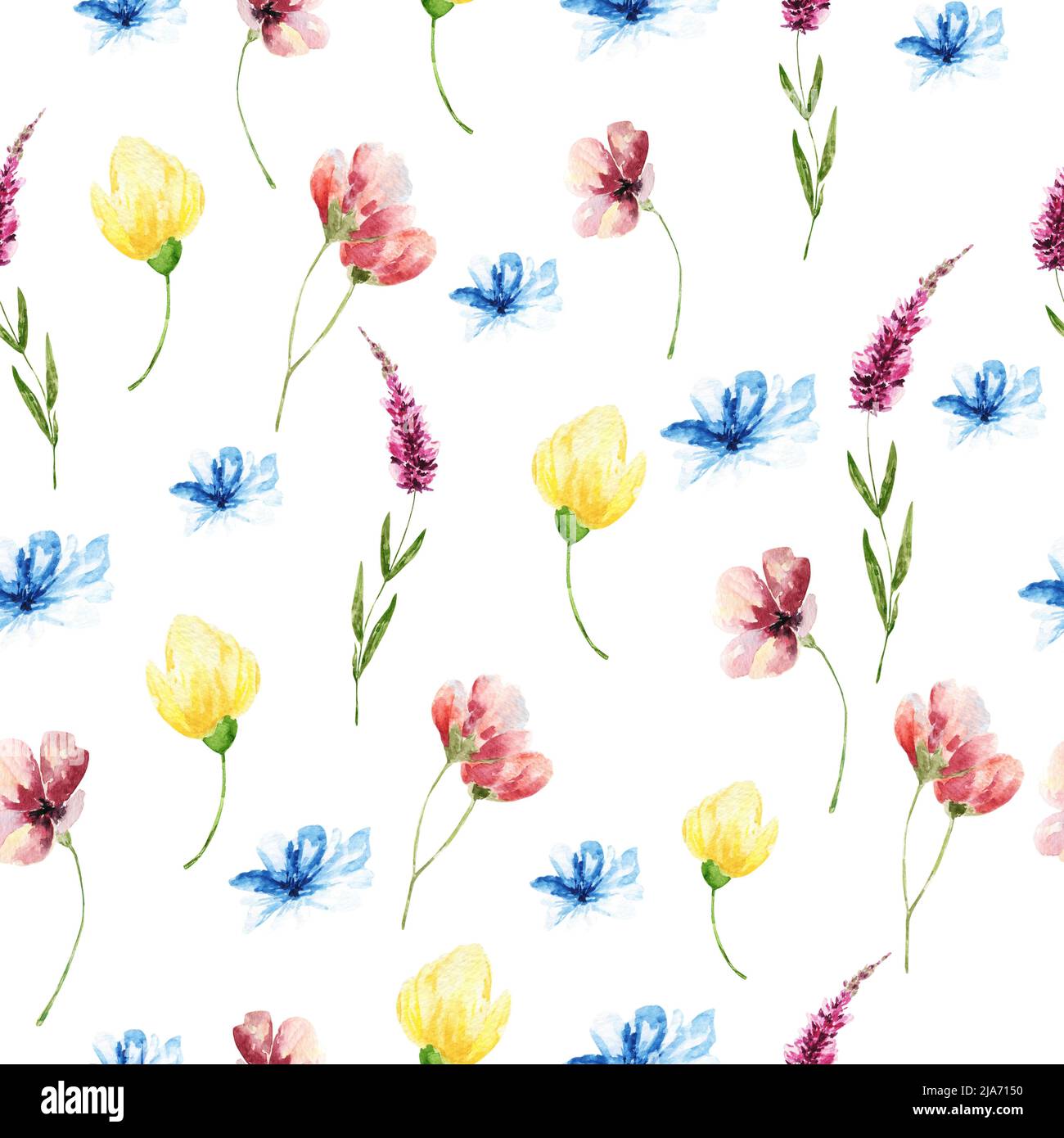 Hand drawn watercolor seamless pattern of realistic flowers .Mixed ...
