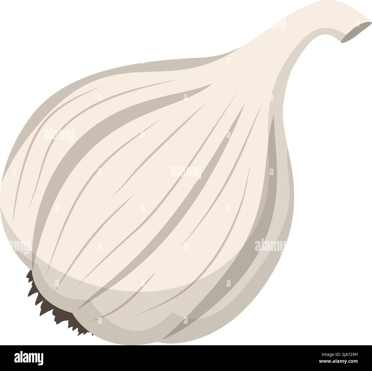 garlic head isolated on white background, flat design vector illustration Stock Vector