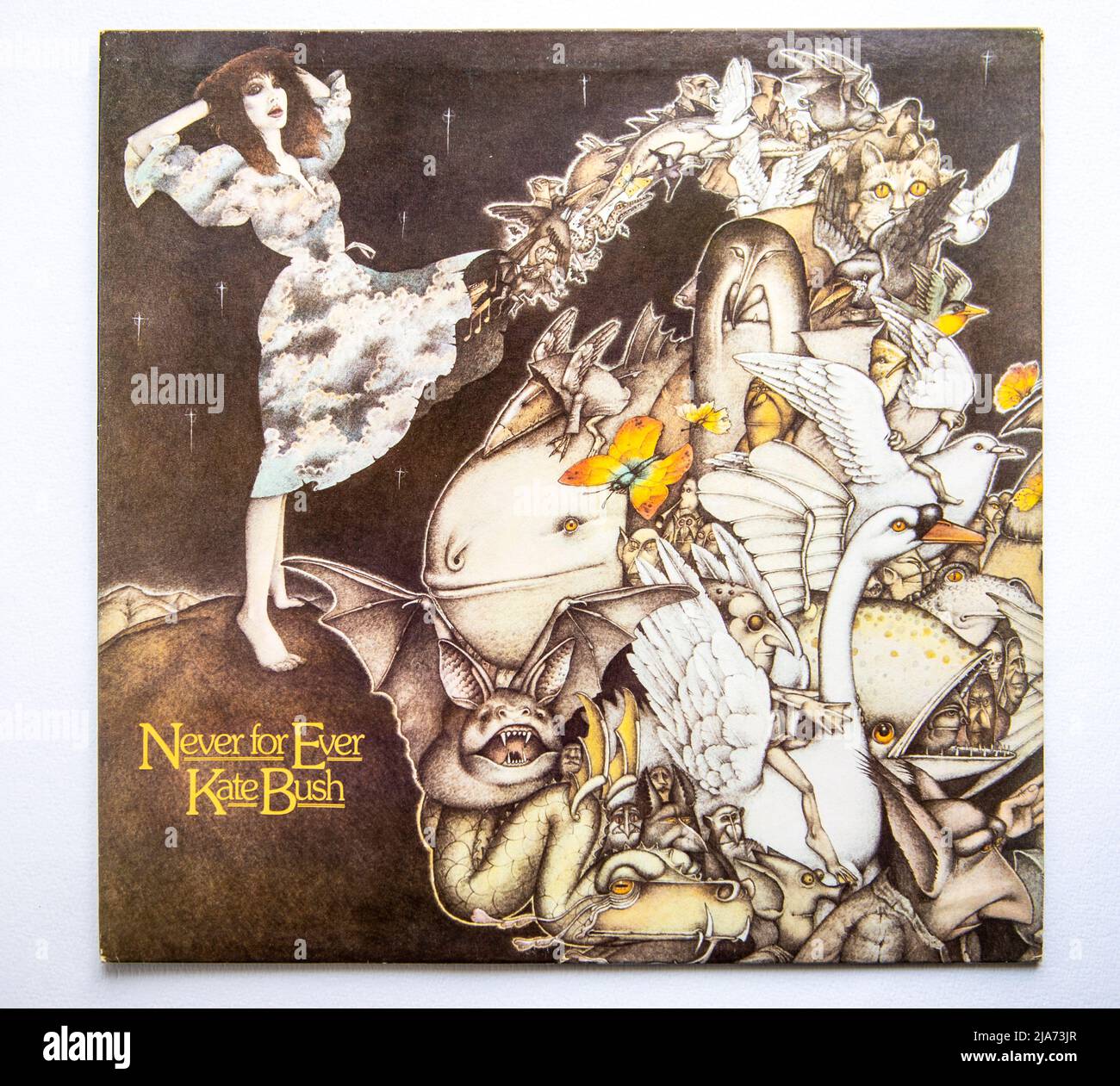LP cover Never Forever, the third album by Kate Bush, which was released in 1980 Photo - Alamy