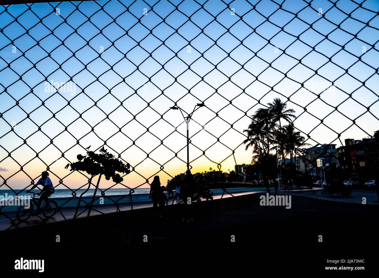 Grid silhouette, wire; trees and pole against yellow and blue sunset. Salvador, Bahia, Brazil. Stock Photo