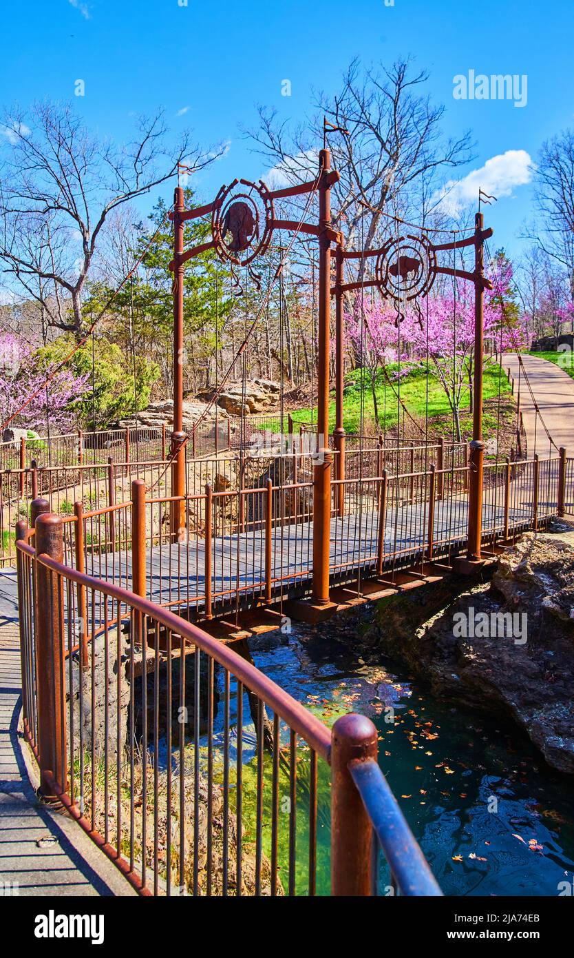 Amazing metal walking bridge over creek with cherry trees Stock Photo