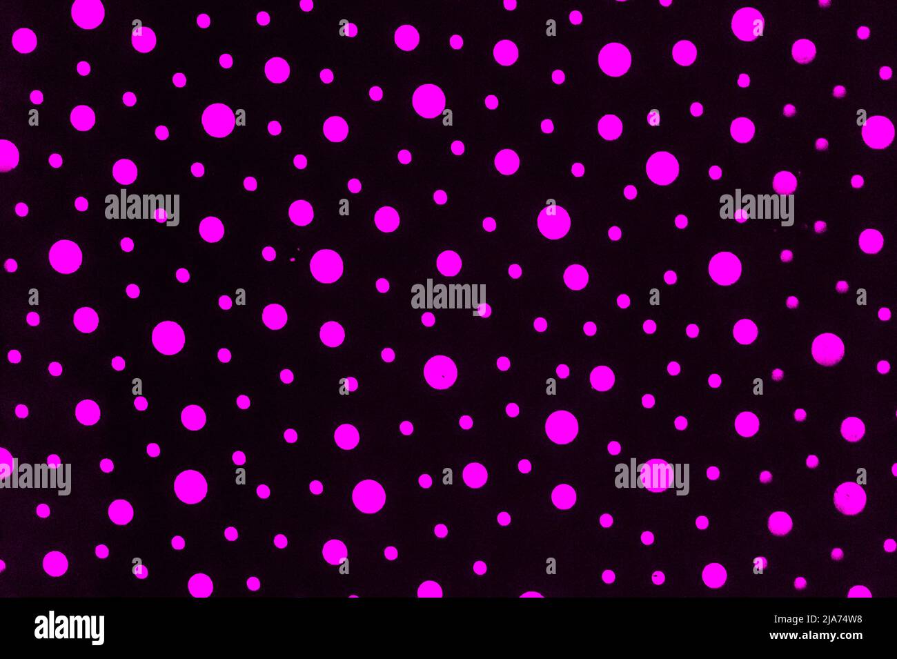 Purple Pink Abstract Round Polka Dot Pattern Sample Template Background ...
