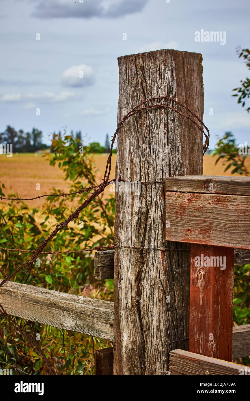 Detail of wood farming fence with barbed wire and field in background ...