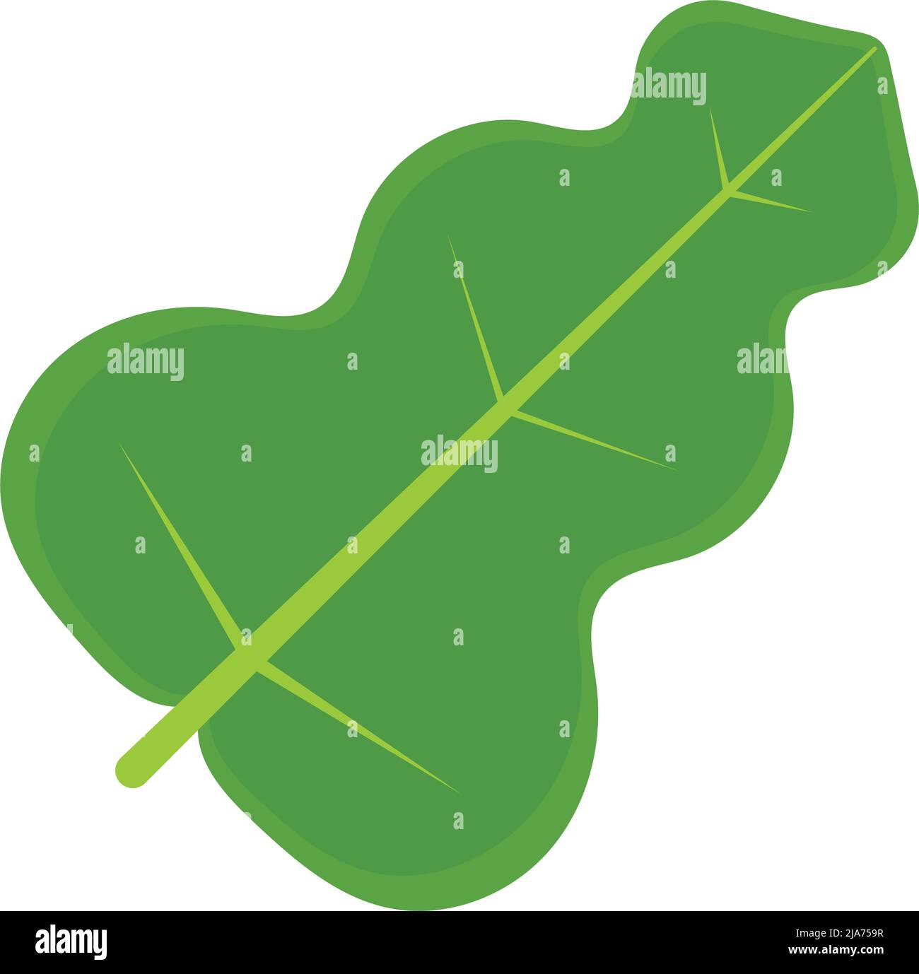 spinach leaf icon Stock Vector Image & Art - Alamy