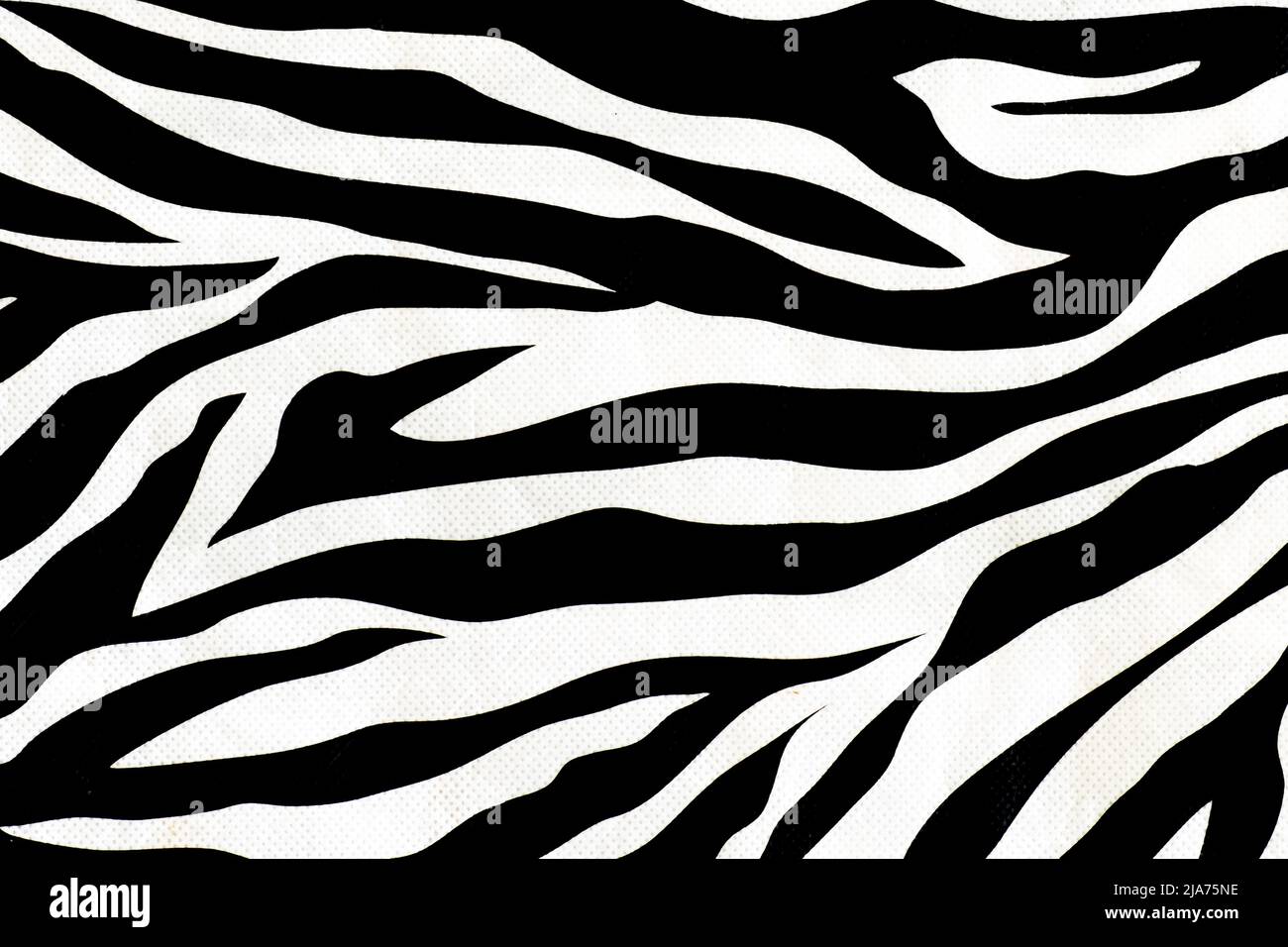 Zebra animal skin abstract fur pattern texture for design and print ...