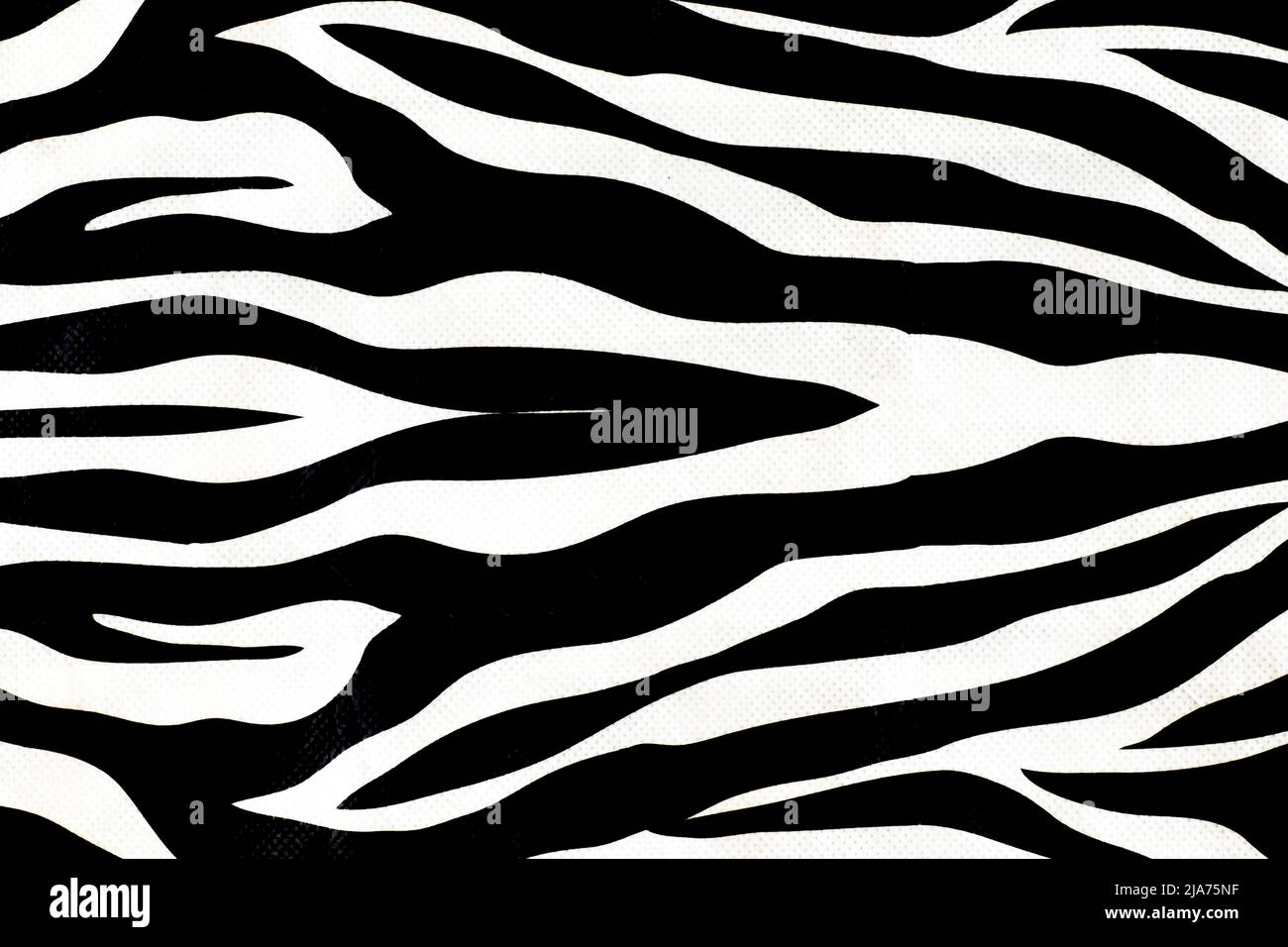 Zebra animal skin abstract fur pattern texture for design and print ...