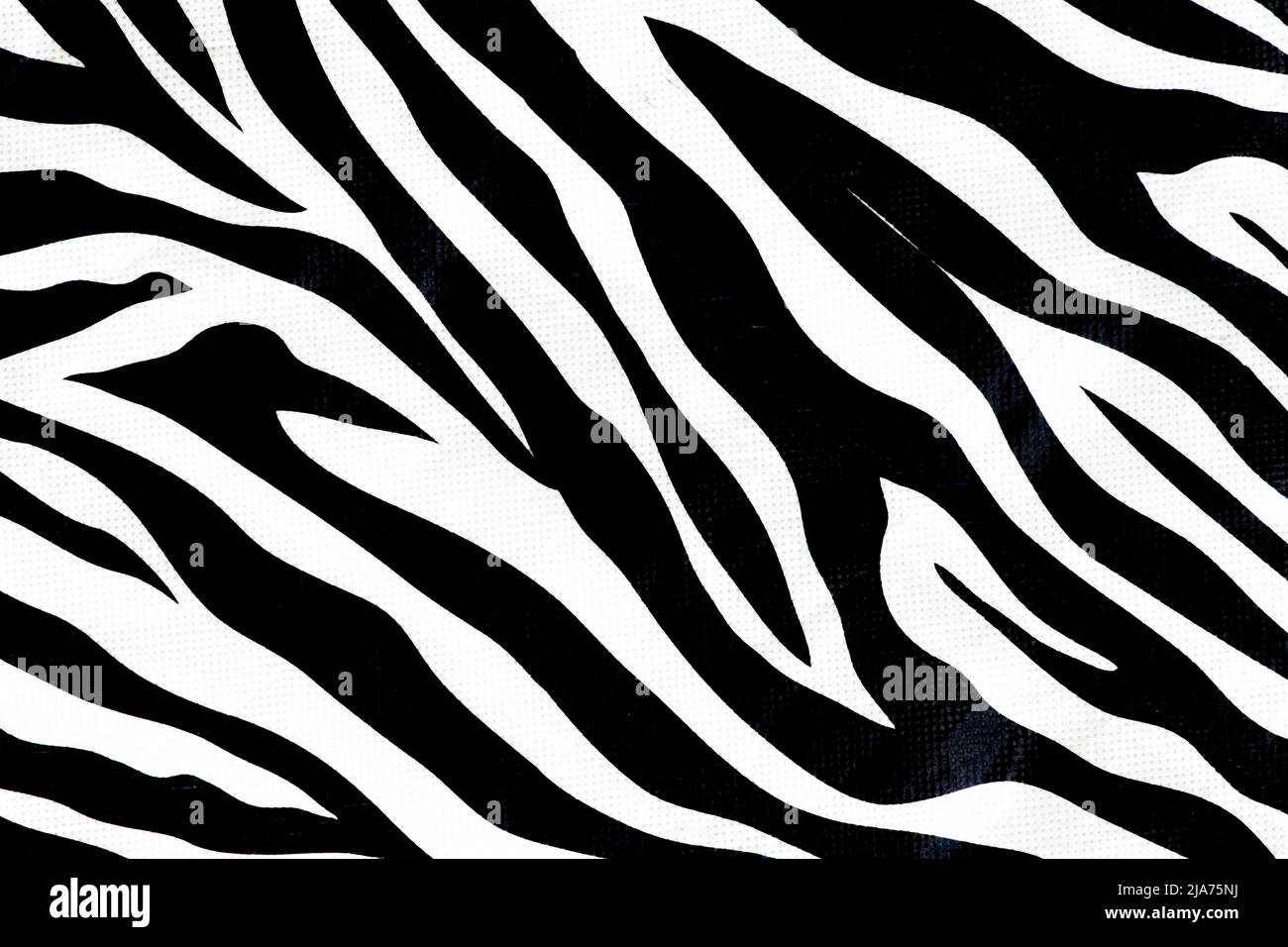 Zebra animal skin abstract fur pattern texture for design and print ...