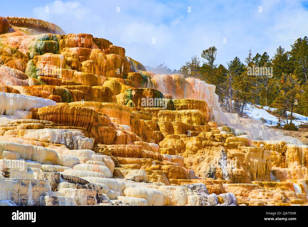 Amazing hot spring terraces at Yellowstone's Devils Thumb Stock Photo ...