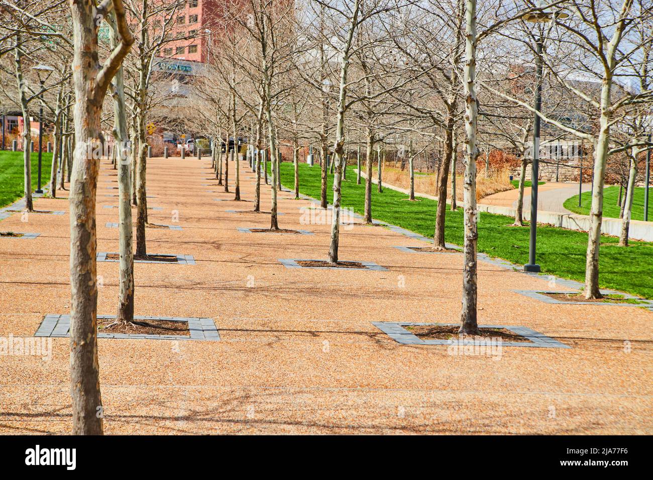 City park walking path filled with spring trees Stock Photo - Alamy
