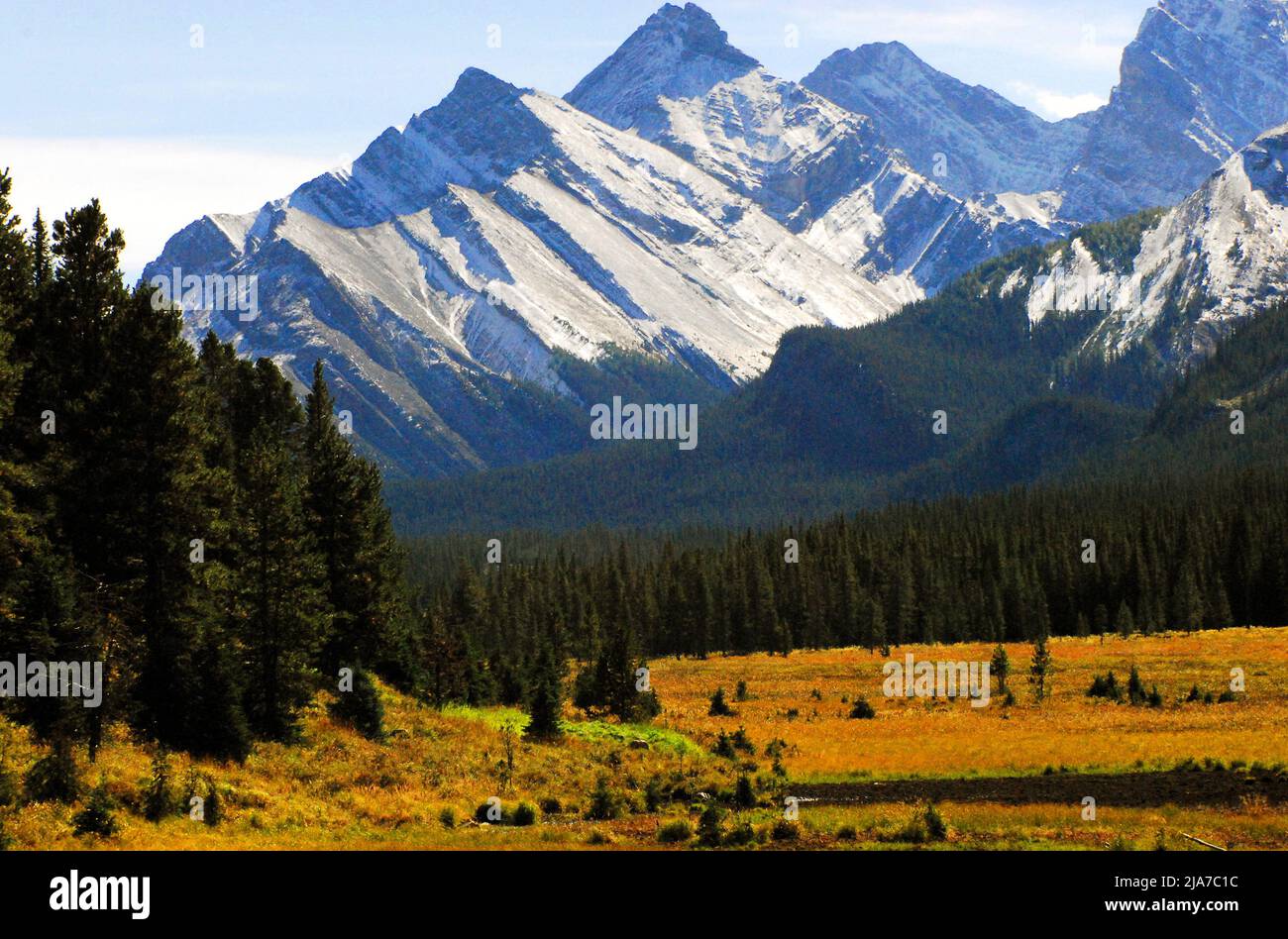 Gorgeous panorama of a colorful forested valley with snow capped Rocky Mountains in the background.  Shot in the Banff National Park, Alberta, Canada. Stock Photo